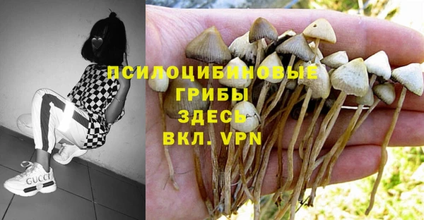 стаф Абинск