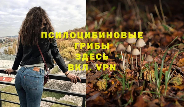 бутират Алзамай