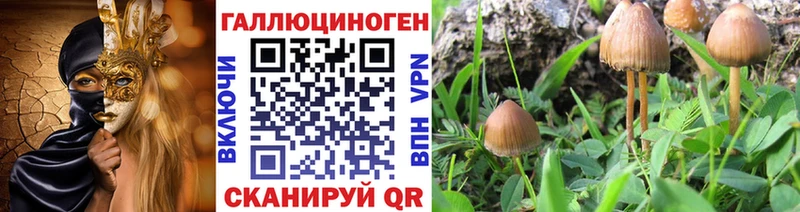 Галлюциногенные грибы мицелий  цены наркотик  гидра ссылка  Алексеевка 