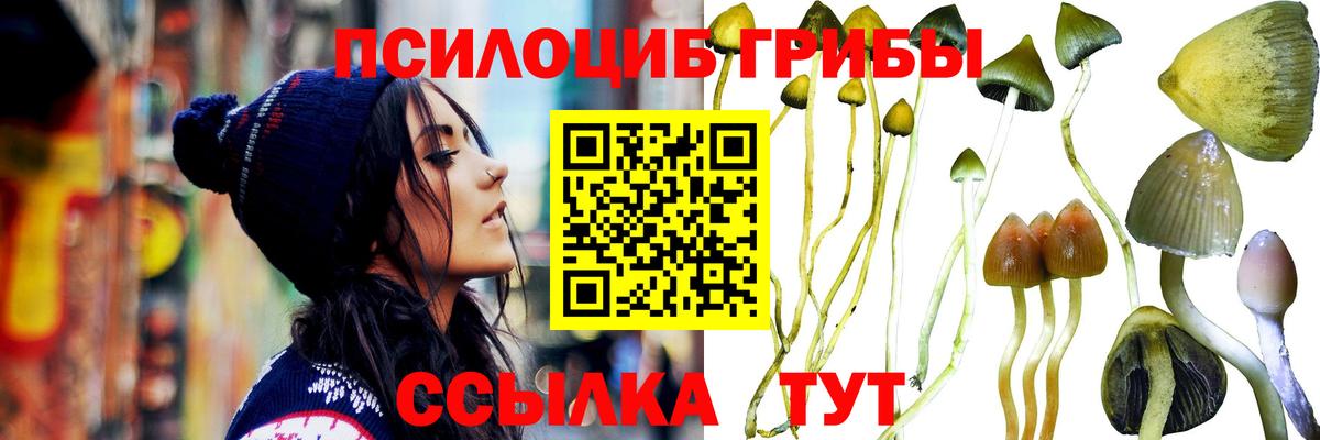 Галлюциногенные грибы GOLDEN TEACHER  Галлюциногенные грибы ЛСД  Алексеевка  Вход с VPN 